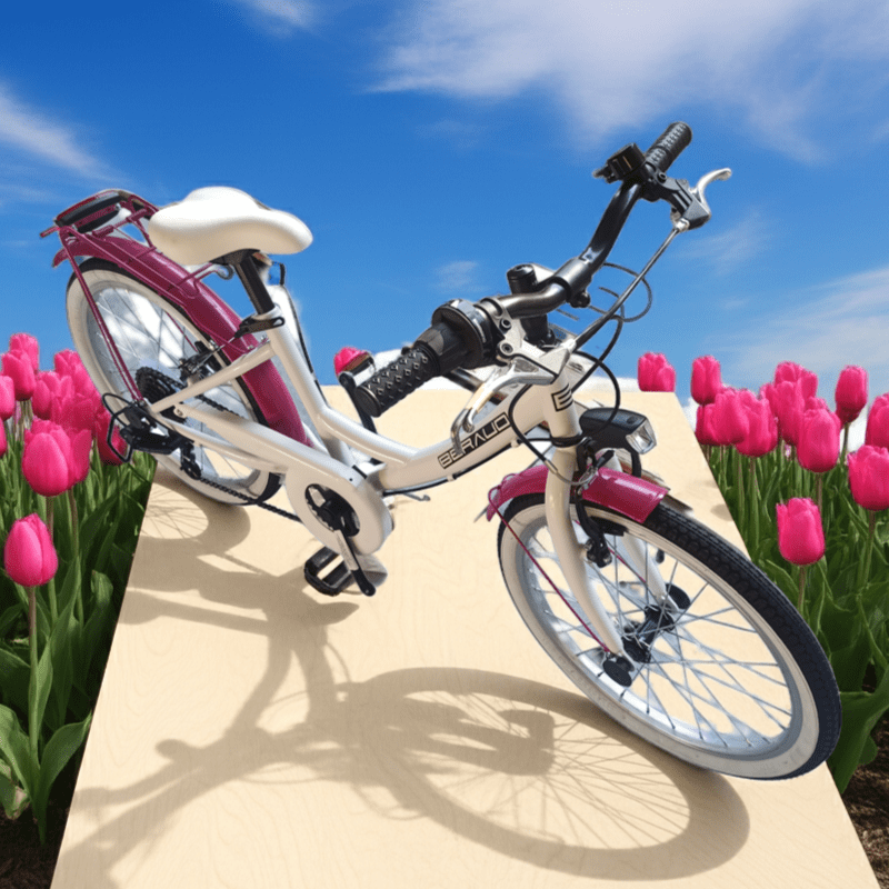 Bicicletta per bambini da 20 pollici 6 velocità Heart Bike Bicicletta per bambini da 20 pollici 6 velocità Heart Bike