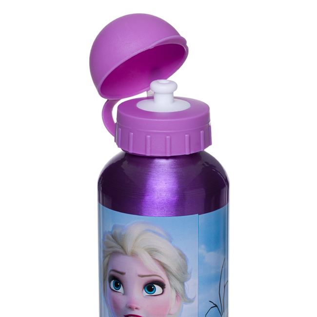 Borracce Borraccia in Alluminio Frozen 520ml