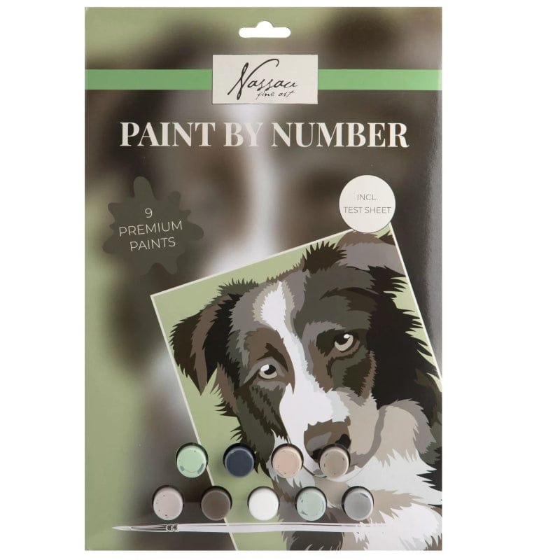 Giocattoli artistici e da disegno Pittura con i Numeri, set per dipingere tramite caselle numerate formato A4 Pittura con i Numeri, set per dipingere tramite caselle numerate formato A4
