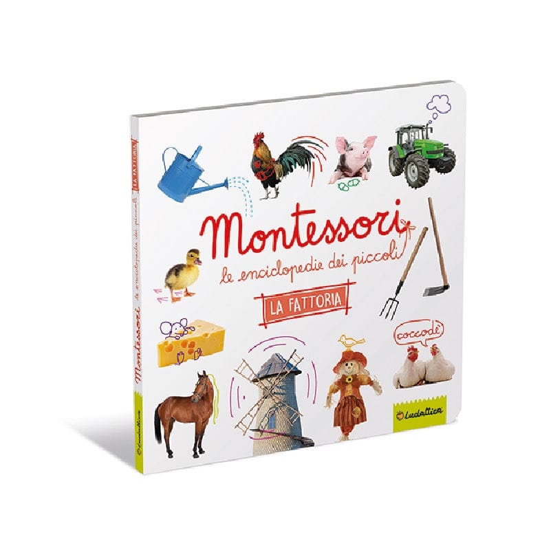 Giocattoli educativi Montessori- Le enciclopedie dei piccoli
