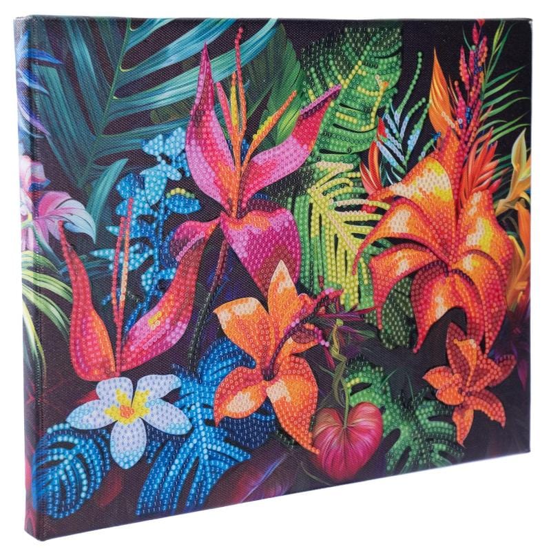 Colora e Decora Diamantiny Quadro su Tela, Mosaico con Diamanti
