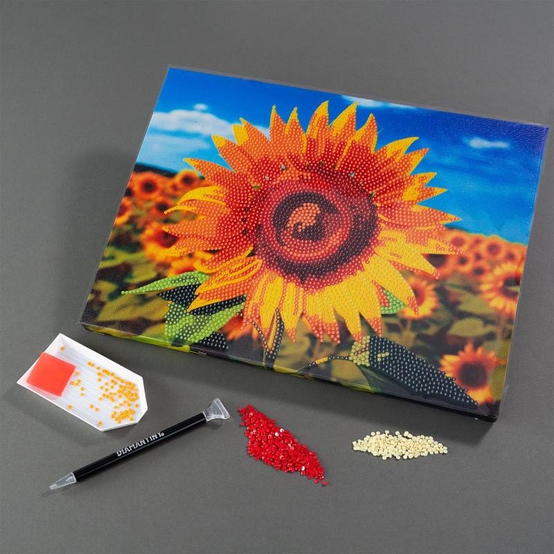 Colora e Decora Diamantiny Quadro su Tela, Mosaico con Diamanti