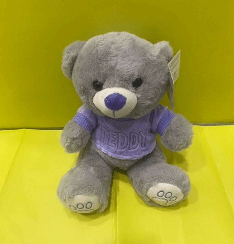 Orsacchiotti Peluche Orsetto Teddy Seduto da 23cm con Maglietta