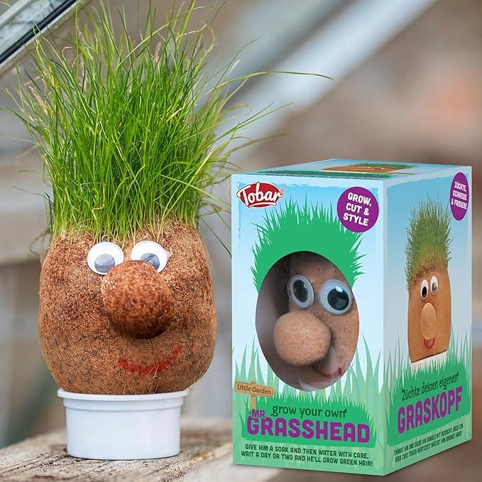 Mr. GrassHead, Pupazzo Pianta con Capelli di Erba Vera - Tobar Mr. GrassHead, Pupazzo Pianta con Capelli di Erba Vera - Tobar