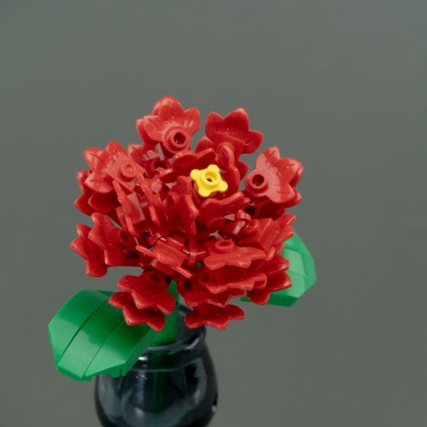 Folia 940409 - Cartoncini per Decorare, 25 x 35 cm, 5 Colori Folia 940409 - Cartoncini per Decorare, 25 x 35 cm, 5 Colori