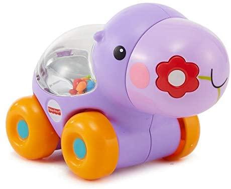 Fisher Price Animali con Palline Saltellanti - The Toys Store