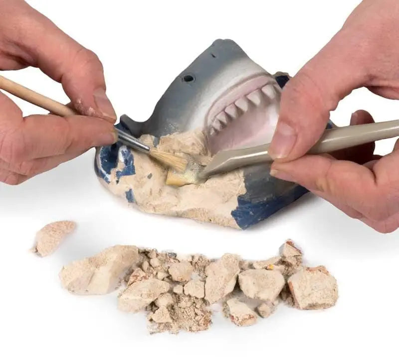 National Geographic Denti di Squalo kit Scava e trova i Fossili - The Toys Store
